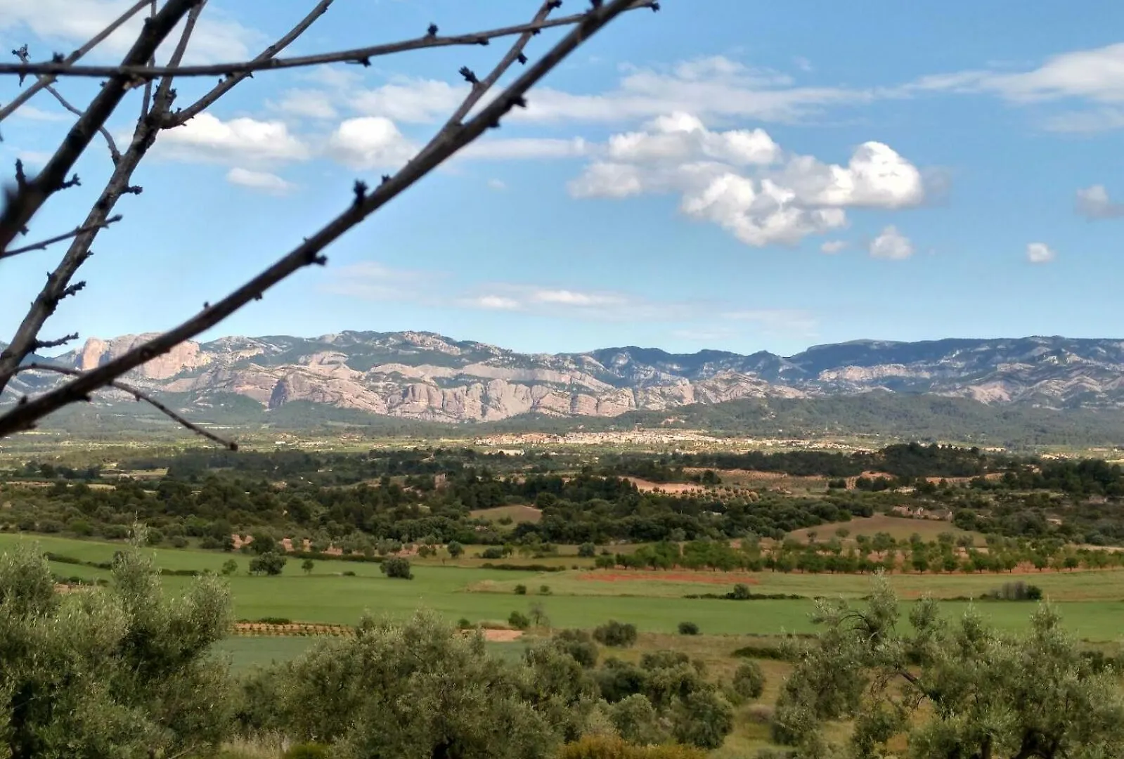 Casa La Tia Apartment Arnes Spain